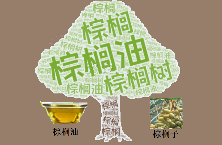 XM平台官网:棕榈油强势反弹:4060林吉特站稳后,下一个关键“关卡”在哪里?(图1)
