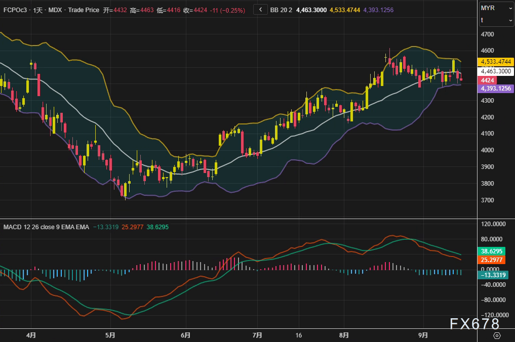 XM官网登陆入口:棕榈油周线两连跌,4424林吉特关口能否守住供需新平衡?(图2) XM官网登陆入口:棕榈油周线两连跌,4424林吉特关口能否守住供需新平衡?(图2)