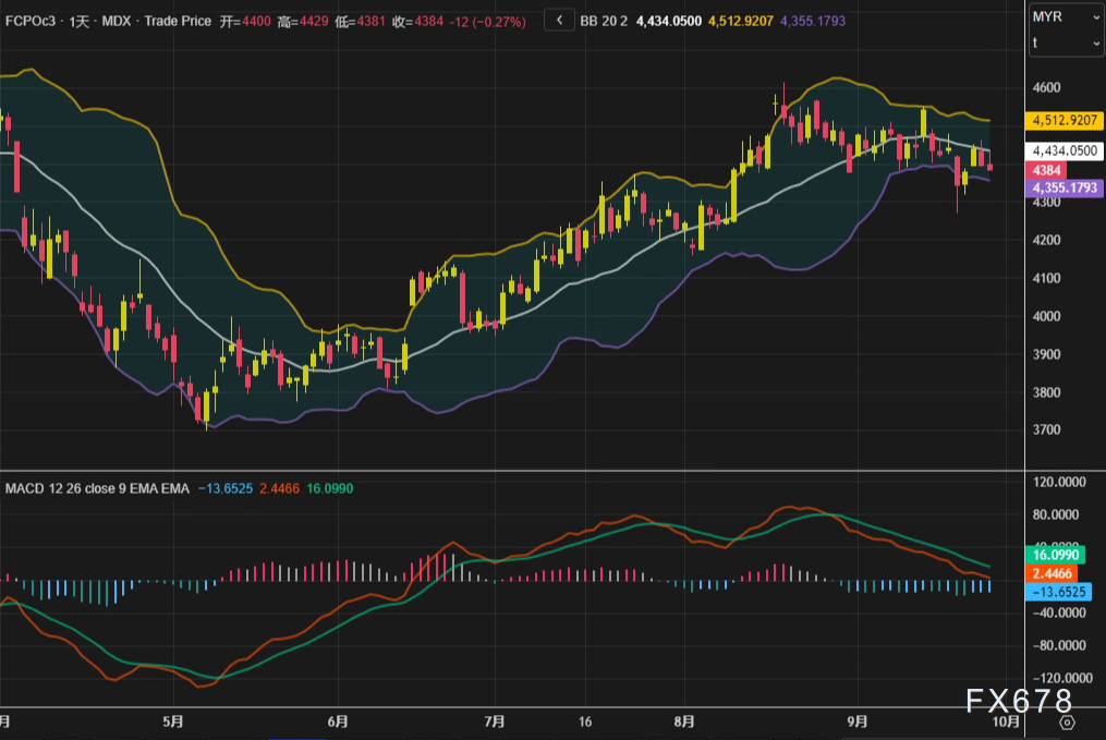 XM平台官网:棕榈油市场日评:外围油脂施压,库存预期构筑下方支撑(图2)