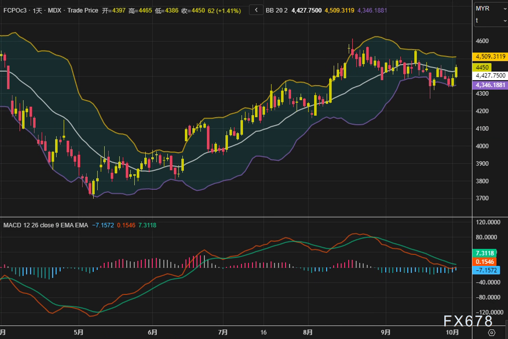 XM官网登陆入口:棕榈油市场观察:外围油脂走强与需求改善共筑价格支撑(图2)