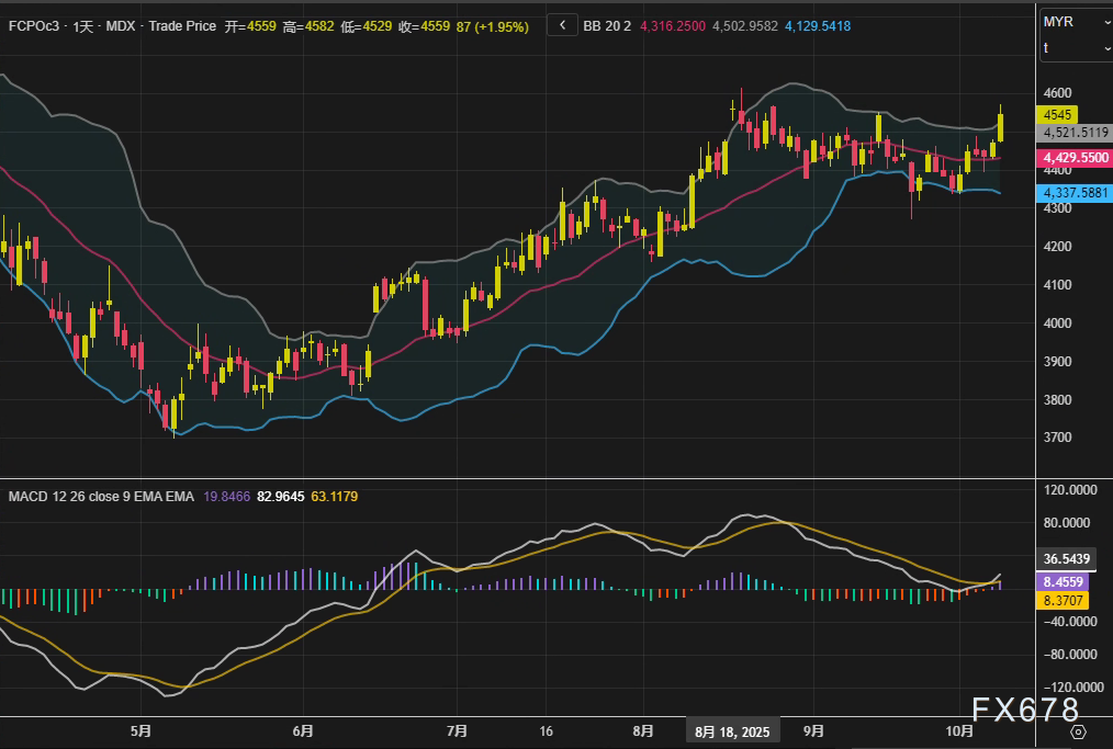 XM官网:棕榈油突破关键技术位,创七周收盘新高(图2) XM官网:棕榈油突破关键技术位,创七周收盘新高(图2)